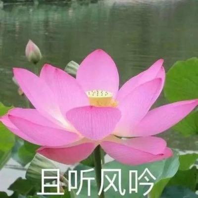 数学农场下载安装手机版免费最新版