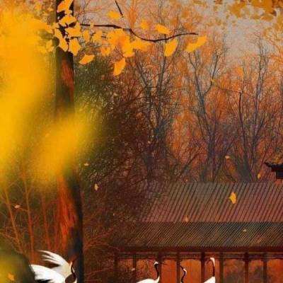 扑杀三国手游下载